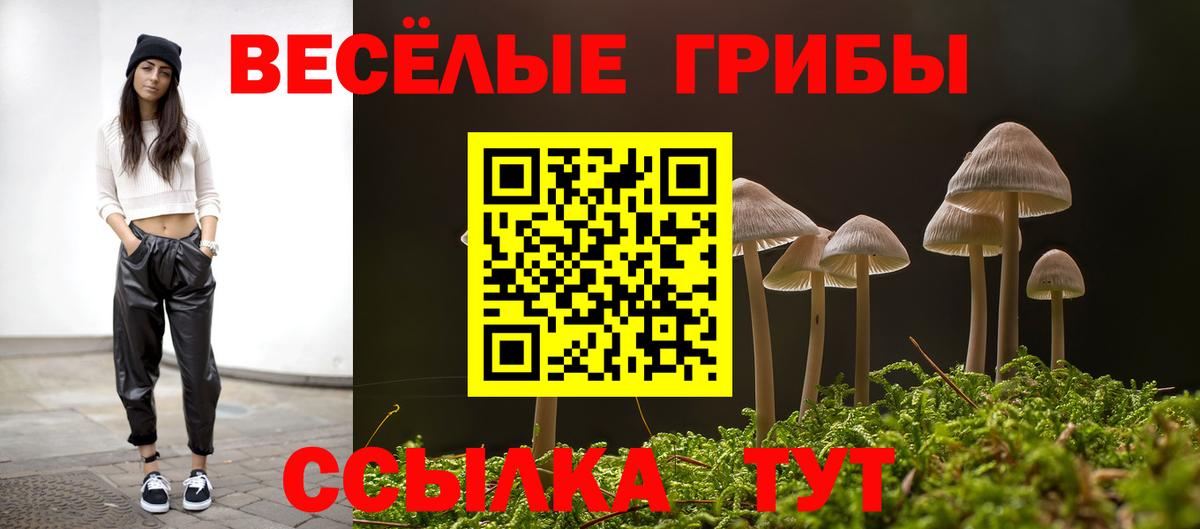 Псилоцибиновые грибы Cubensis Верхний Уфалей