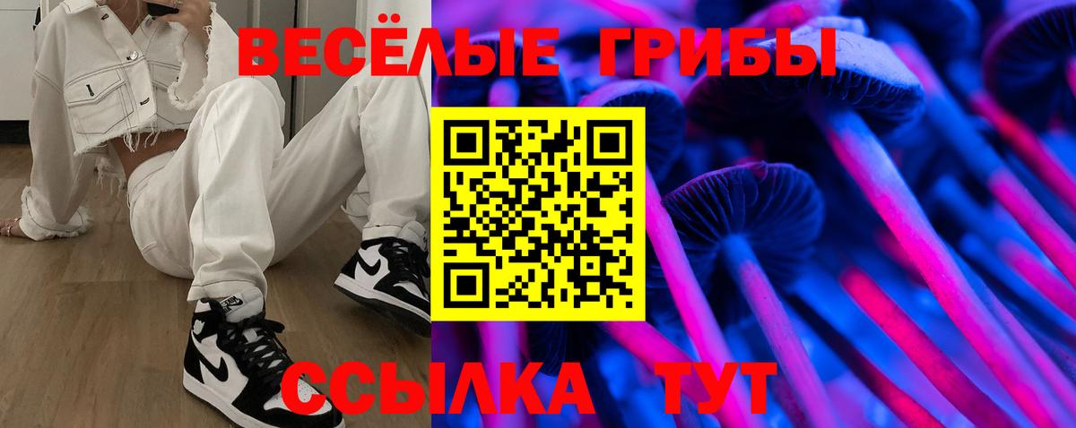 Верхний Уфалей  Псилоцибиновые грибы Psilocybe  Вход с VPN  купить  цена  Псилоцибиновые грибы MAGIC MUSHROOMS 